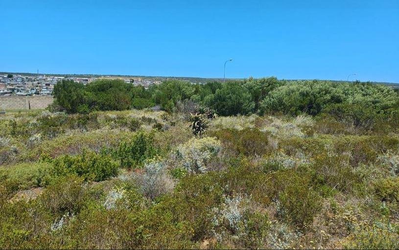 Commercial Property for Sale in N2 Industrial Park Western Cape